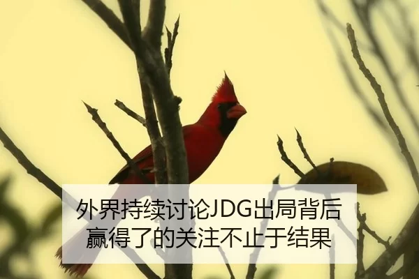 外界持续讨论JDG出局背后 赢得了的关注不止于结果